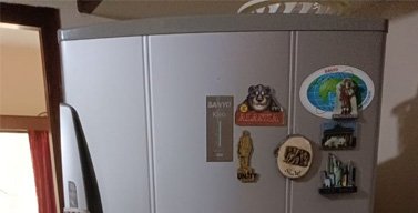 Refrigerator Power Problems (Double Door Non-Inverter Fridge)